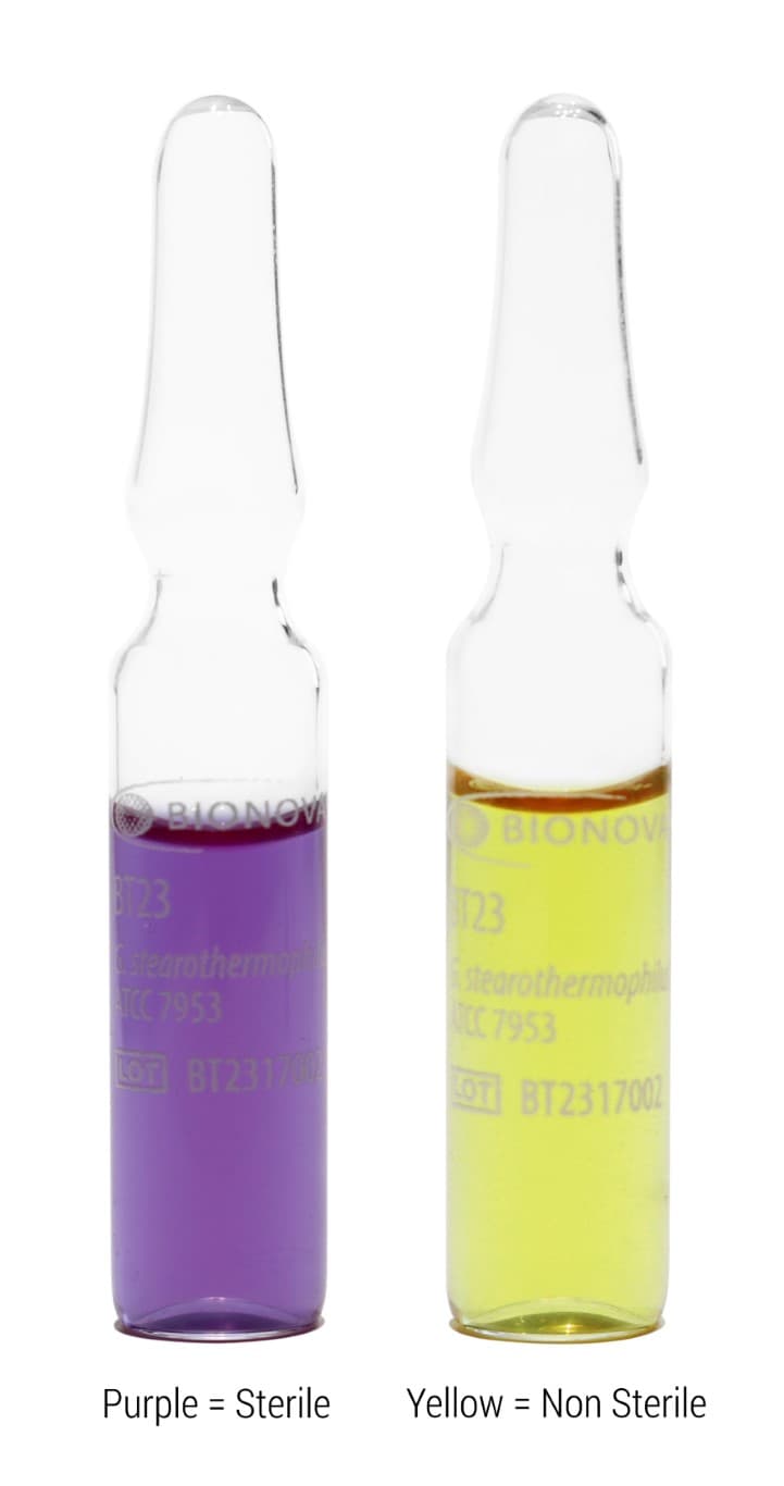 Self-contained spore ampoules for Steam 2