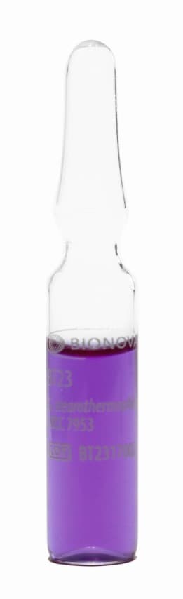 Self-contained spore ampoules for Steam
