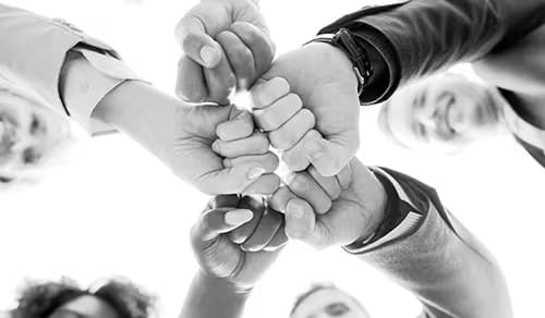 A team committed to your success