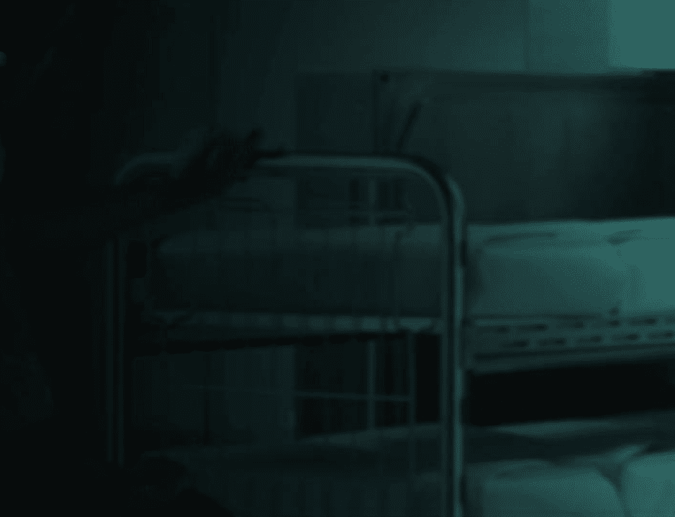 Bionova-q-digital-ecosystem-banner-1 (1) (1)