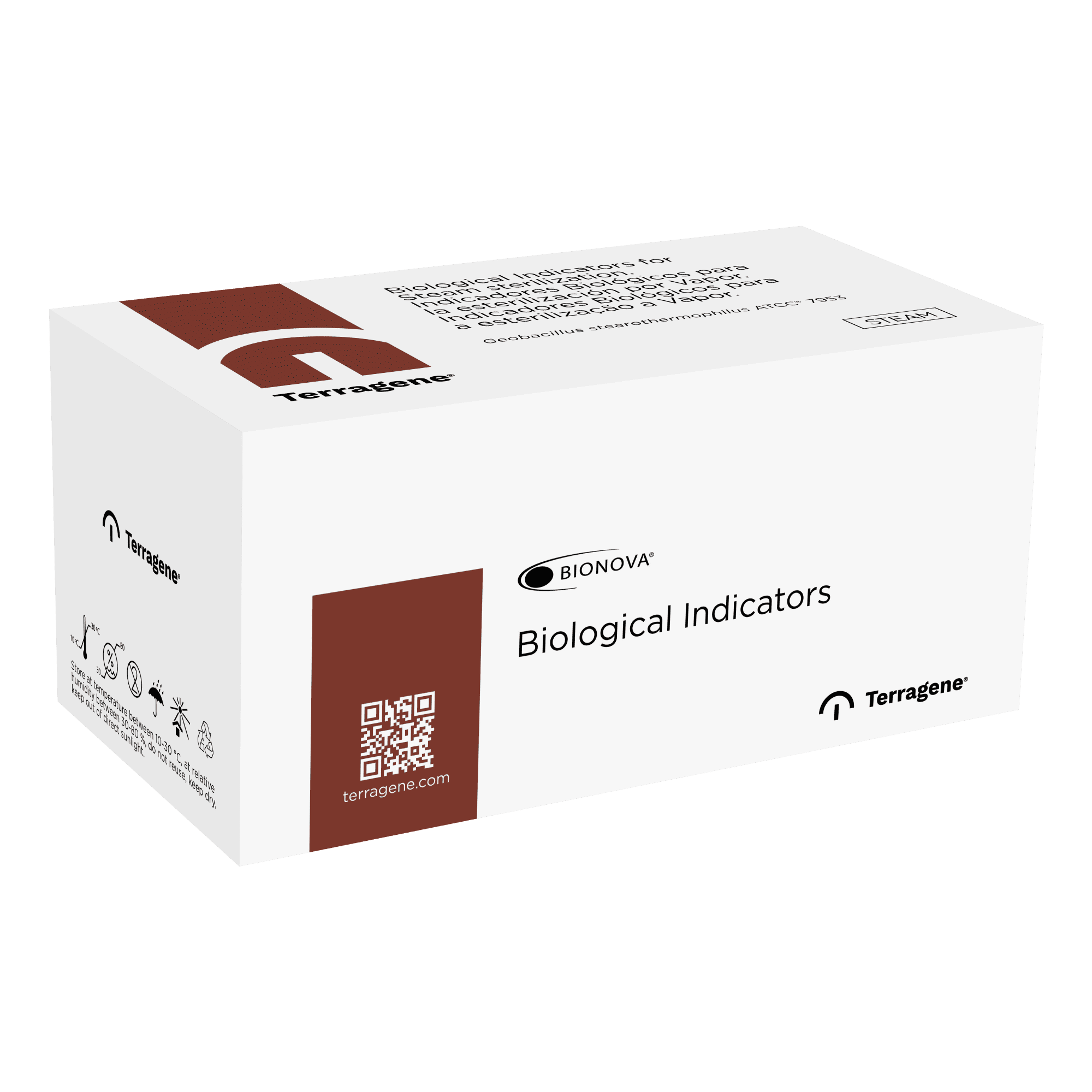 24h Biological Indicator for Steam - Image 4