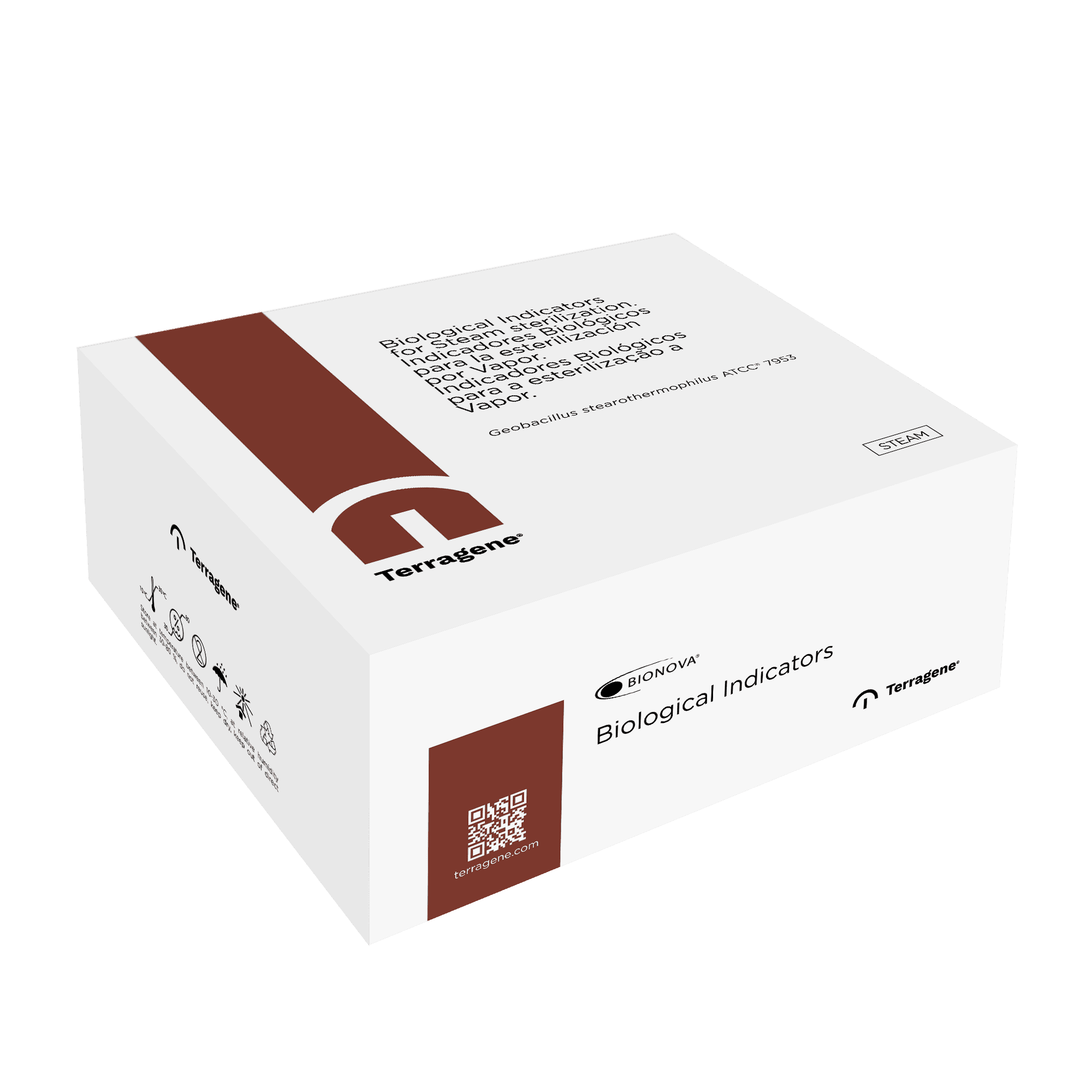 24h Biological Indicator for Steam - Image 5